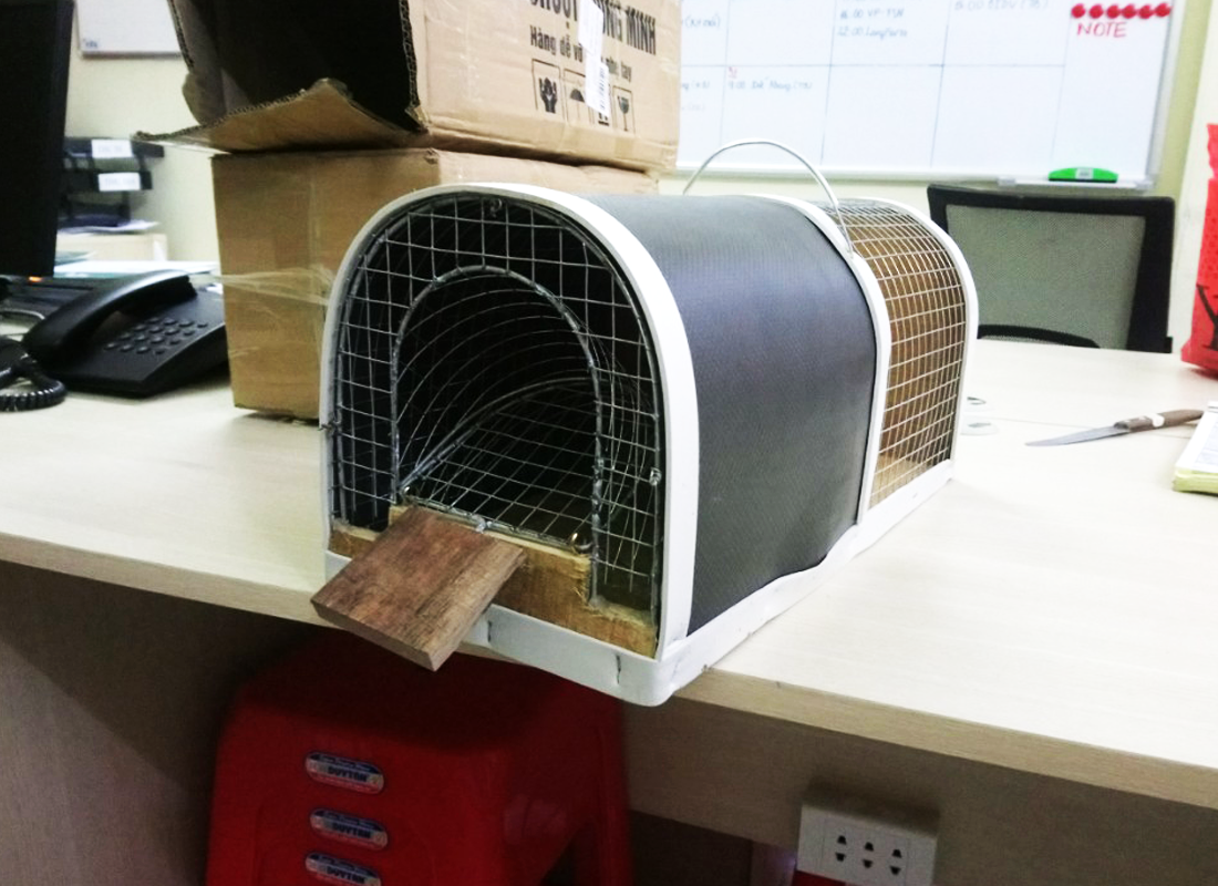 Dịch vụ diệt chuột tại quận Tây Hồ