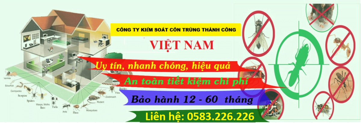 Diệt mối tận gốc tại Bắc Kạn