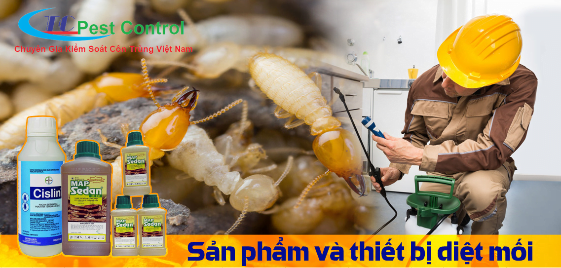 Diệt mối tận gốc tại Thái Nguyên