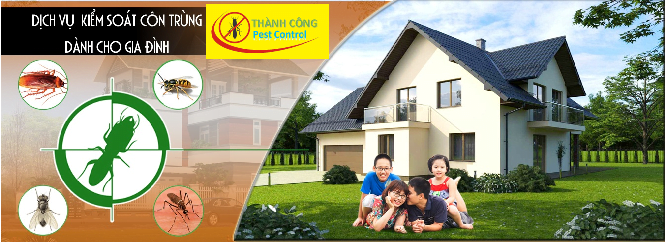 Diệt mối tận gốc tại Tuyên Quang