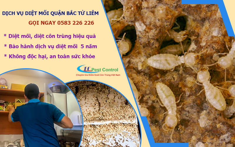 Diệt Mối Uy Tín Quận Bắc Từ Liêm