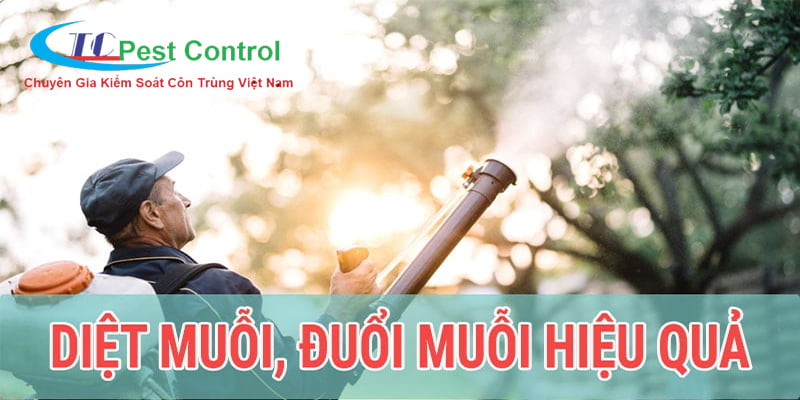 Phun muỗi tại quận Hai Bà Trưng