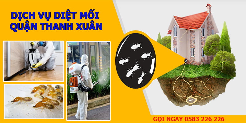 Dịch vụ diệt mối quận Thanh Xuân