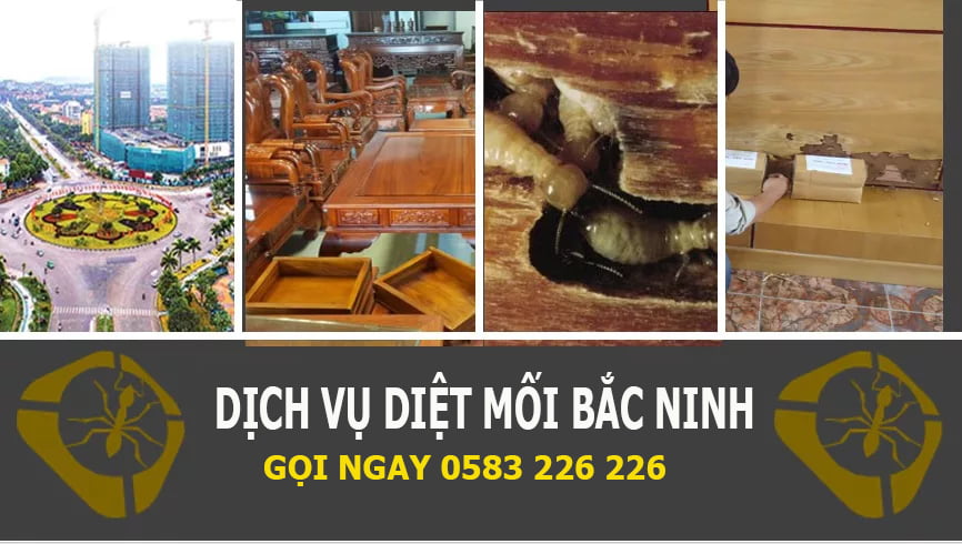 Tình hình mối mọt tại Bắc Ninh