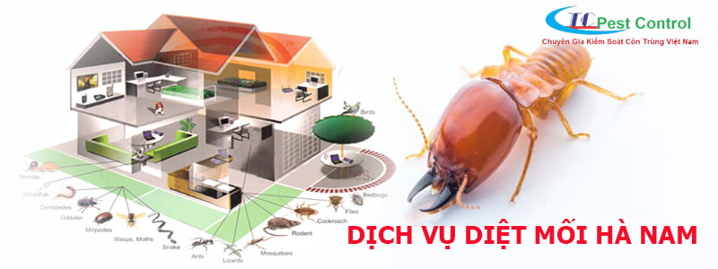 Đối tượng khách hàng thường sử dụng dịch vụ của chúng tôi