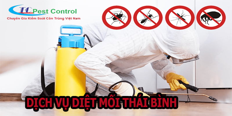 Công ty diệt mối uy tín tại Thái Bình