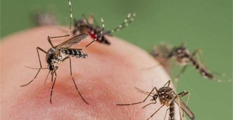 Phun muỗi tại huyện Gia Lâm