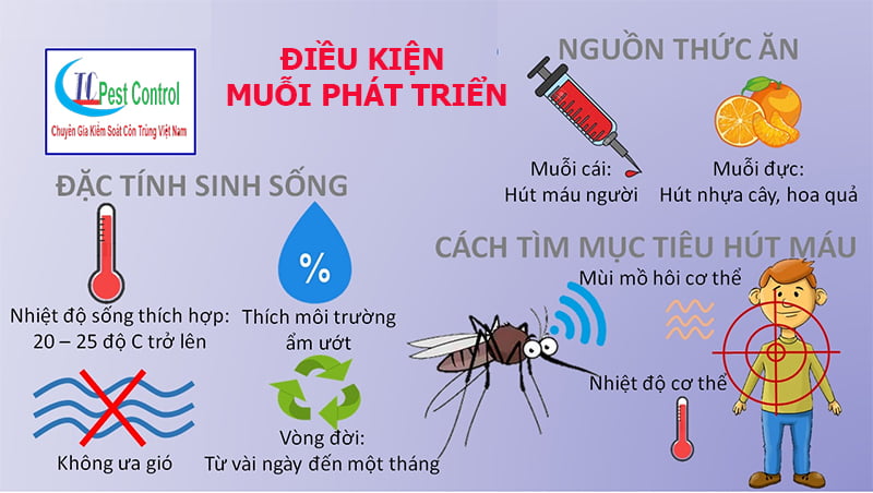 phun muỗi tại huyện ứng hòa
