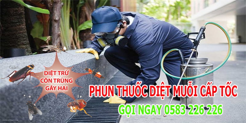 phun muỗi tại huyện Mê Linh