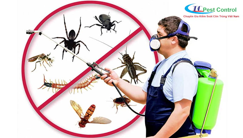 diệt muỗi tận gốc