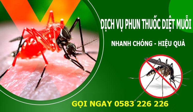 phun muỗi tại huyện Thanh Trì