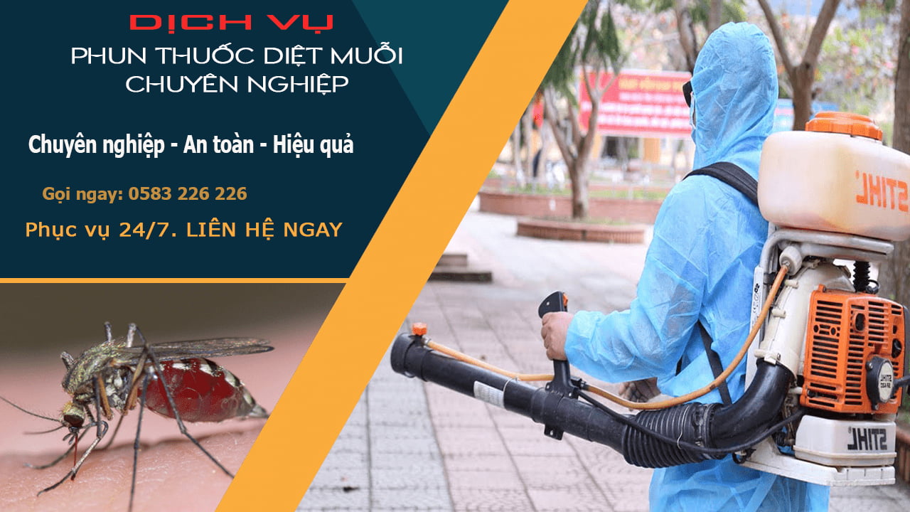 Diệt Muỗi Quận Cầu Giấy
