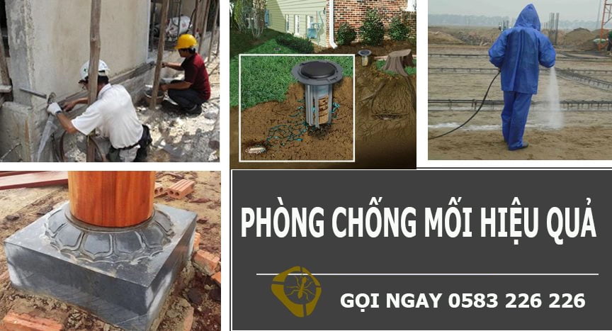 Dịch vụ phòng chống mối cho công trình mới
