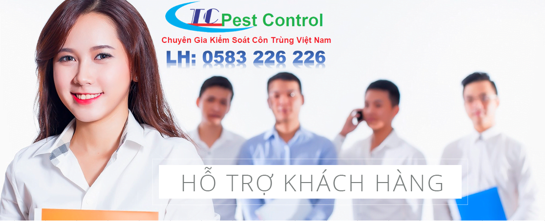Quy Trình Đặt Dịch Vụ Diệt Mối Tại Huyện Đồng Hỷ
