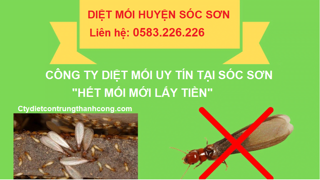 Dịch Vụ Diệt Mối Tại Sóc Sơn
