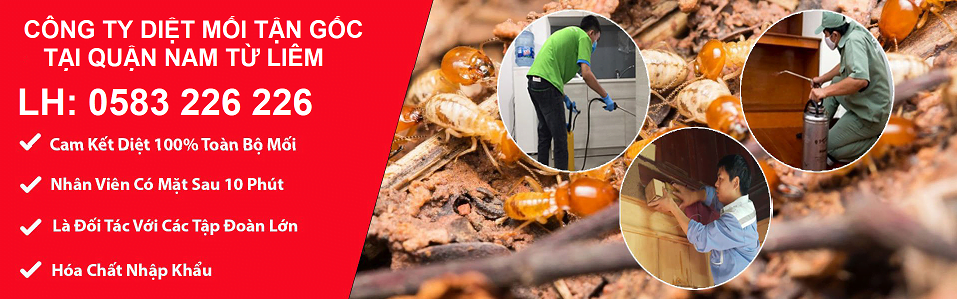 Quy trình các bước diệt mối tại Hà Nam