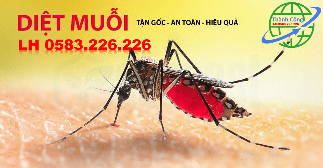 Ưu điểm khi sử dụng dịch vụ diệt muỗi tại quận Tân Phú của Thành Công