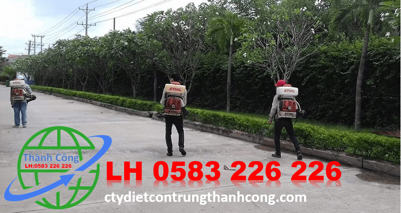 Dịch vụ diệt côn trùng tại huyện Thanh Trì