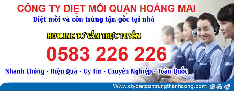 công ty diệt mối tại phường Vĩnh Hưng