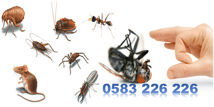 🔷 Bảng giá dịch vụ diệt côn trùng tại Hưng Yên mới nhất