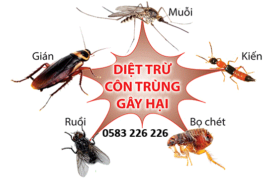 Dịch vụ diệt côn trùng tại huyện Sóc Sơn