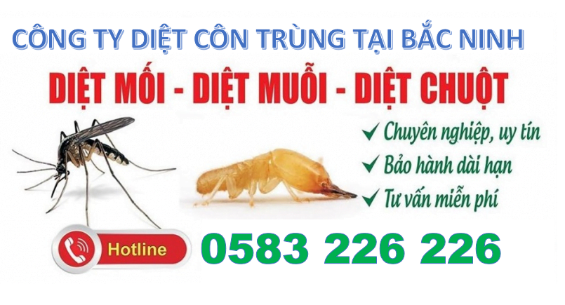 Ưu Điểm Khi Chọn Dịch Vụ Diệt Mối Thành Công Tại Bắc Ninh