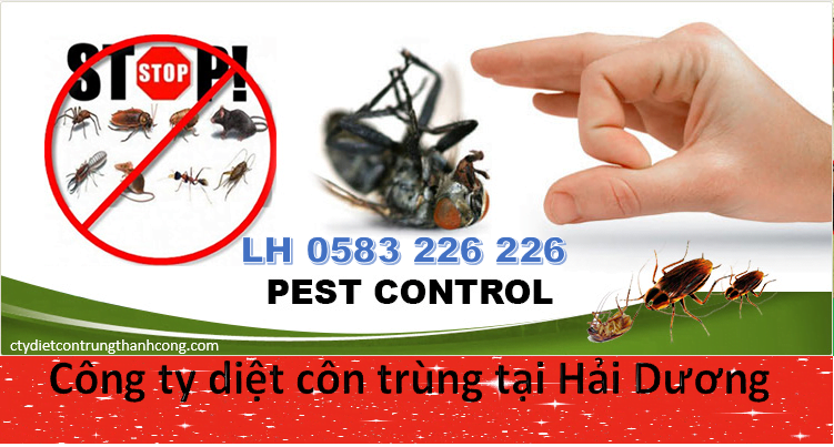 Dịch vụ diệt côn trùng tại Hải Dương