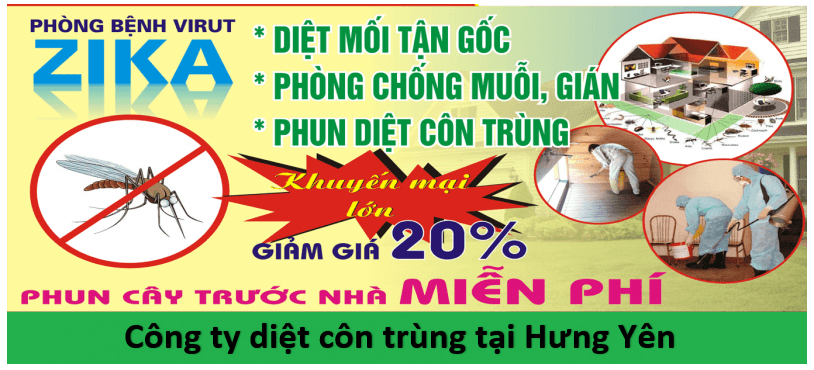 5 địa chỉ diệt mối tận gốc uy tín tại Hưng Yên