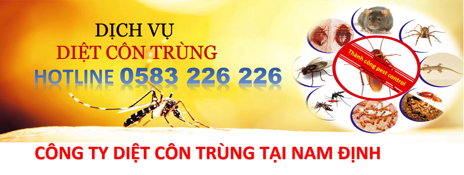 5 địa chỉ công ty diệt mối tại Nam Định uy tín