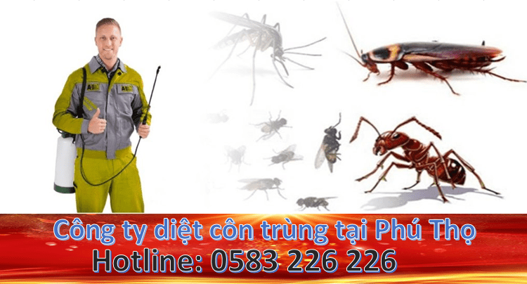 Công ty diệt côn trùng tại Phú Thọ