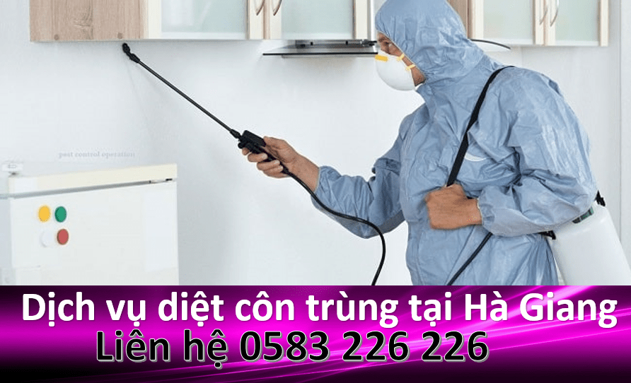 Dịch vụ diệt côn trùng tại Hà Giang