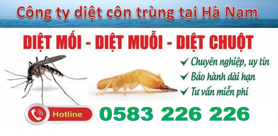 Dịch vụ diệt côn trùng tại Hà Nam