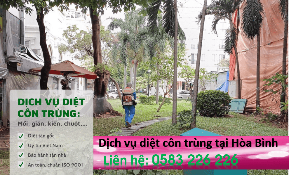 Dịch vụ diệt côn trùng tại Hòa Bình