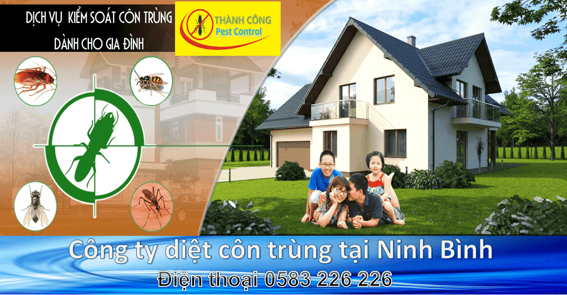 Dịch vụ diệt côn trùng tại Ninh Bình