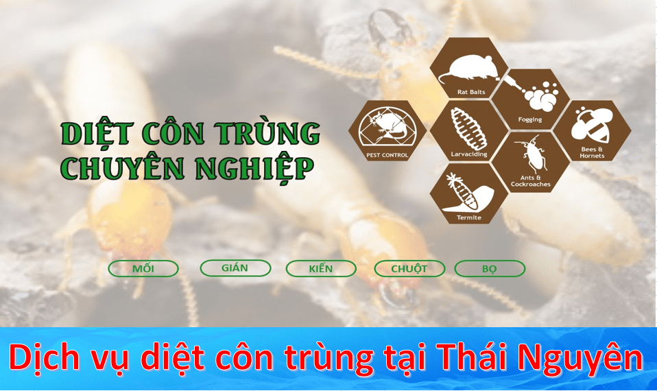 Dịch vụ diệt côn trùng tại Thái Nguyên