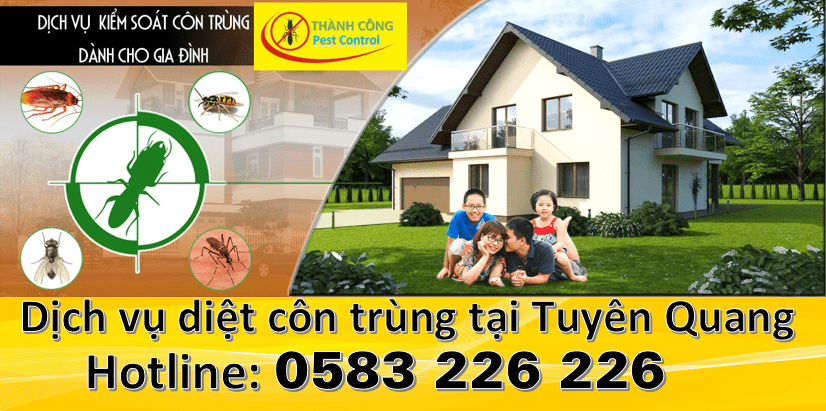 Dịch vụ diệt côn trùng tại Tuyên Quang
