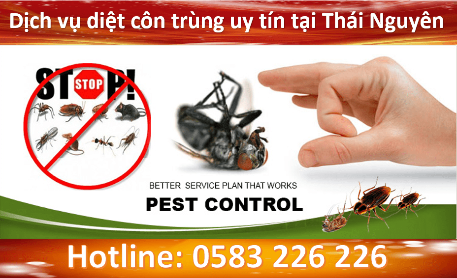 Các bước của dịch vụ diệt côn trùng tại Thái Nguyên như thế nào?