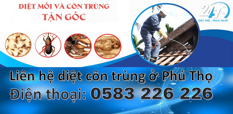 Dịch vụ diệt côn trùng tại Phú Thọ