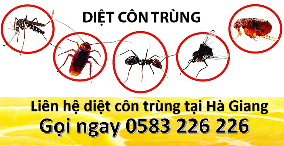 Liên hệ dịch vụ diệt côn trùng tại Hà Giang