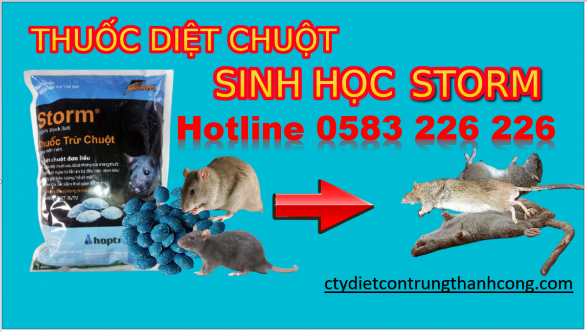 Liên hệ dịch vụ diệt chuột giá rẻ