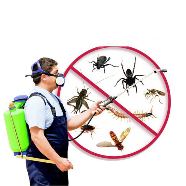 Dịch Vụ Diệt Muỗi Chuyên Nghiệp tại Thanh Miện