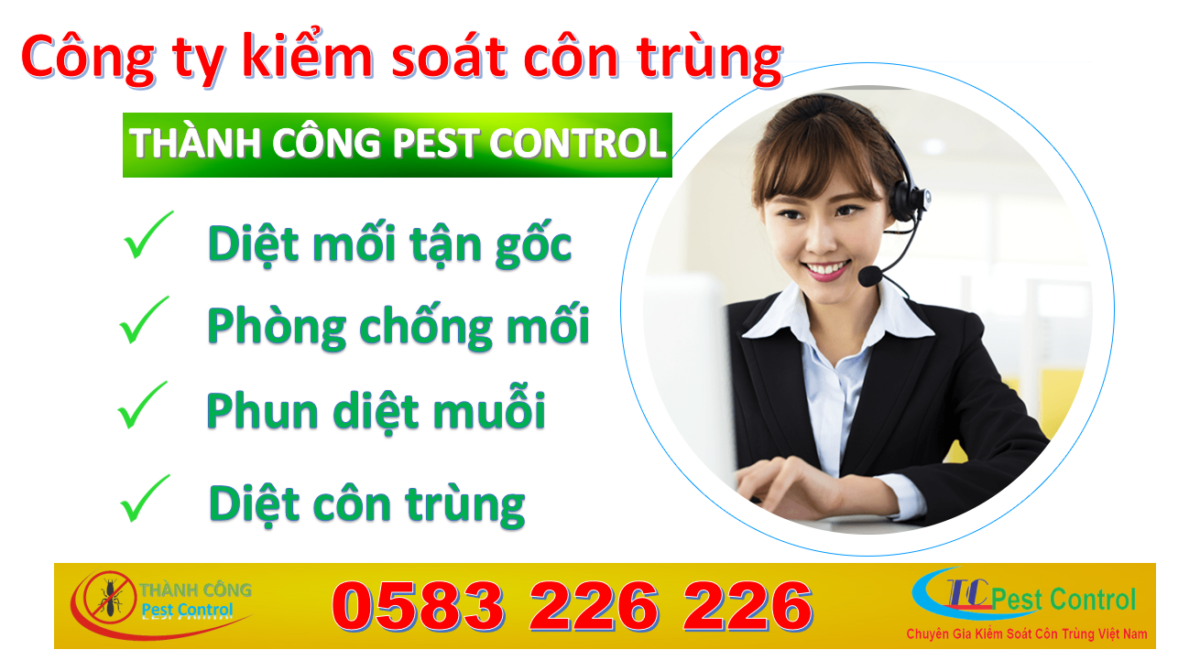 Công ty diệt mối và côn trùng Thành Công Pest Control