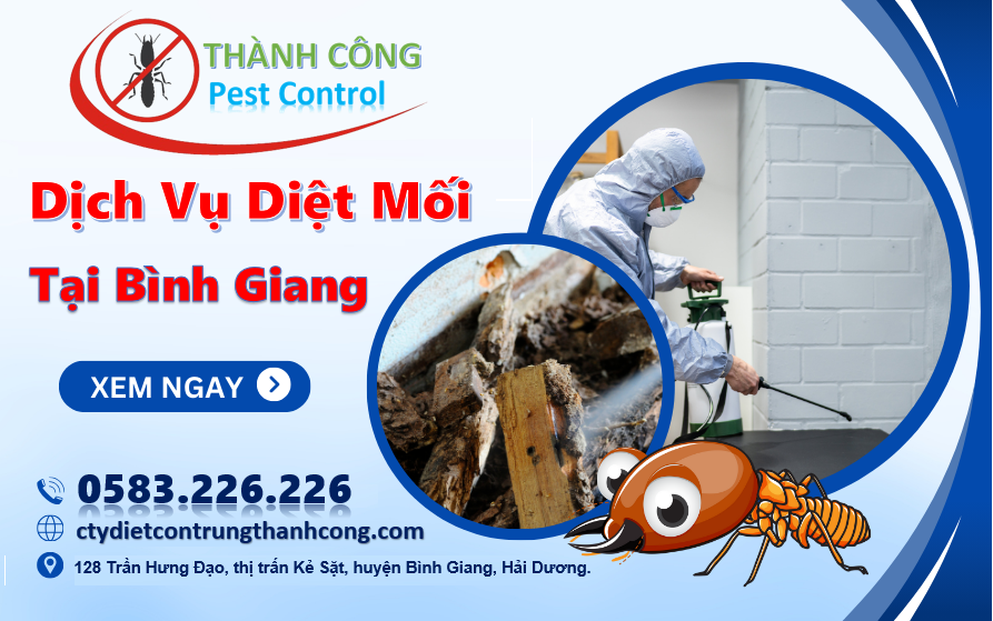 Dịch vụ diệt mối tại huyện Bình Giang