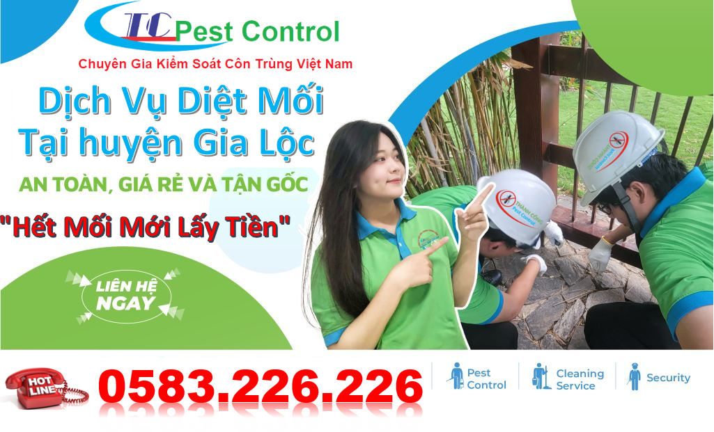 Dịch vụ diệt mối tại huyện Gia Lộc