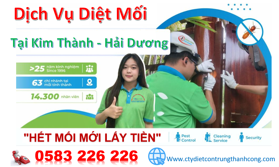 Dịch vụ diệt mối tại huyện Kim Thành