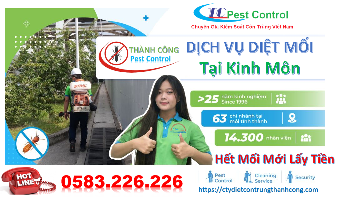 Dịch vụ diệt mối tại Kinh Môn
