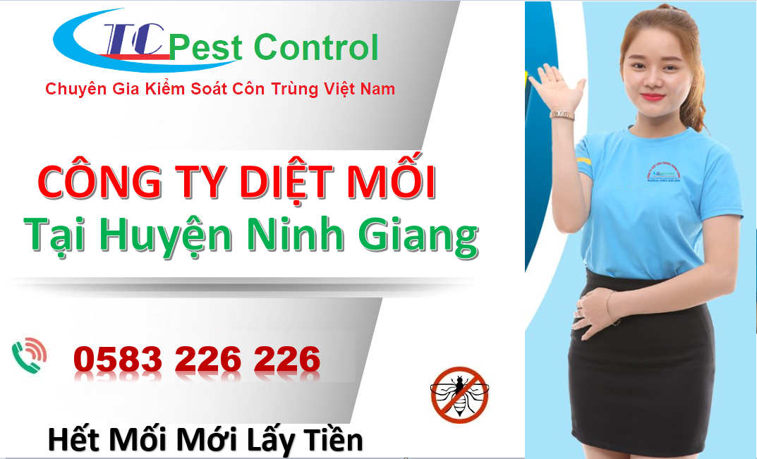 Dịch vụ diệt mối tại huyện Ninh Giang