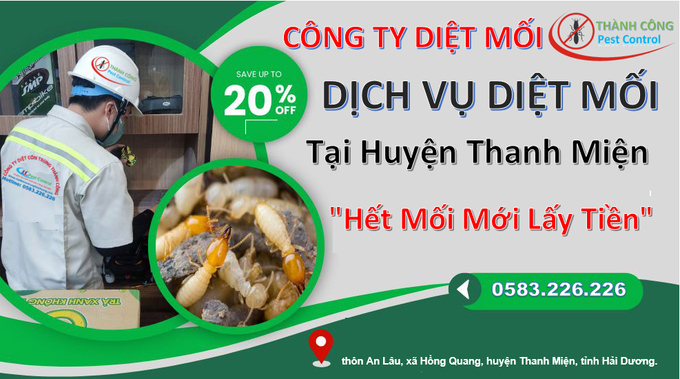Dịch vụ diệt mối tại huyện Thanh Miện