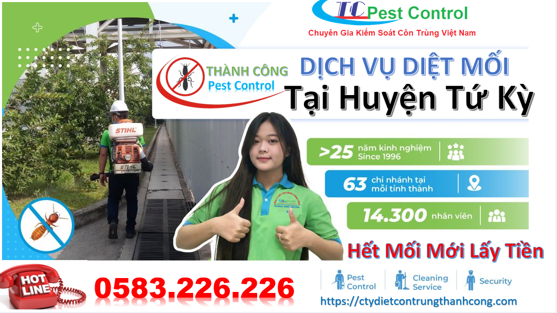 Dịch vụ diệt mối tại huyện Tứ Kỳ