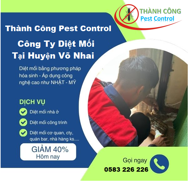 Dịch vụ diệt mối tại huyện Võ Nhai